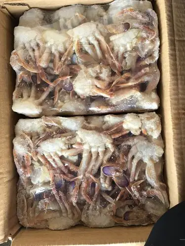 热销江洋 冷冻海鲜 沙蟹切蟹块8板装 冷冻海鲜 冷冻粗加工水产品 - 养