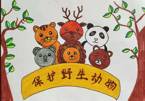 金蜗牛绘画空中课堂——保护野生动物