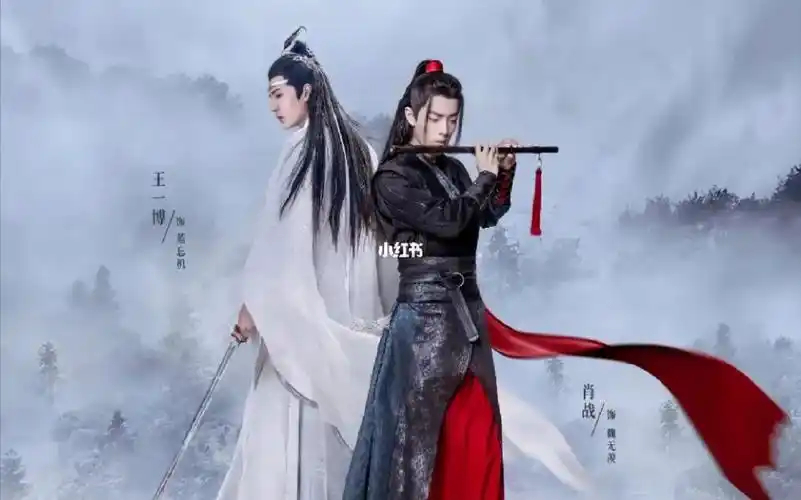 陈情令肖战王一博