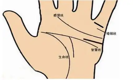 手相智慧线很长的人有大智慧是真的吗?