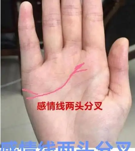 感情线两头分叉,分裂有横切线穿过或者不利符号,一旦出现这些不利现象