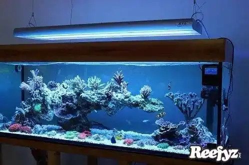 海缸造景大比拼,不一样的风格,一样的美