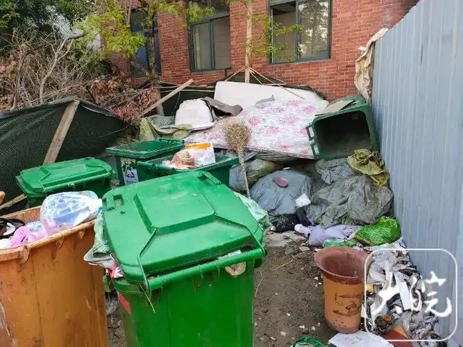 霉烂污染易燃合肥一别墅小区被曝垃圾成山