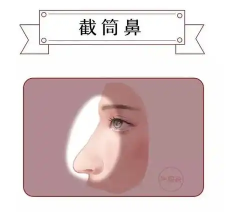 截筒鼻子图片截筒鼻子命好吗