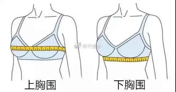 对于美胸,到底有没有一个明确的标准呢?来看看你的胸型是否完美吧!