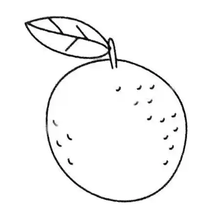 橘子简笔画 橘子简笔画图片带颜色