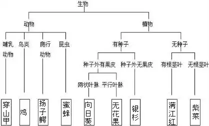 请你根据以下检索表给下列动植物分类请把答案填写在方框内穿山甲鸡