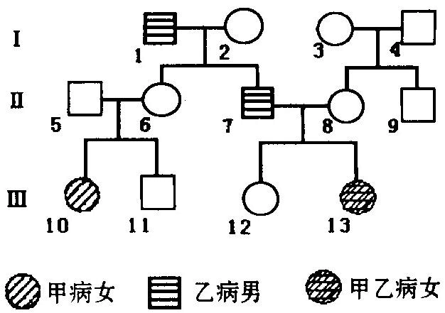 伴性遗传图谱专练