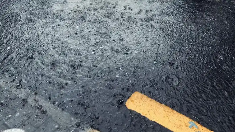 冷清气氛情绪素材 唯美下雨 视频素材 #下雨素材 #听雨的声音 #视频