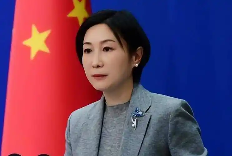 "最美外交官"毛宁:妆发精致干练,衣着考究,优雅优越_女性_气质_中年