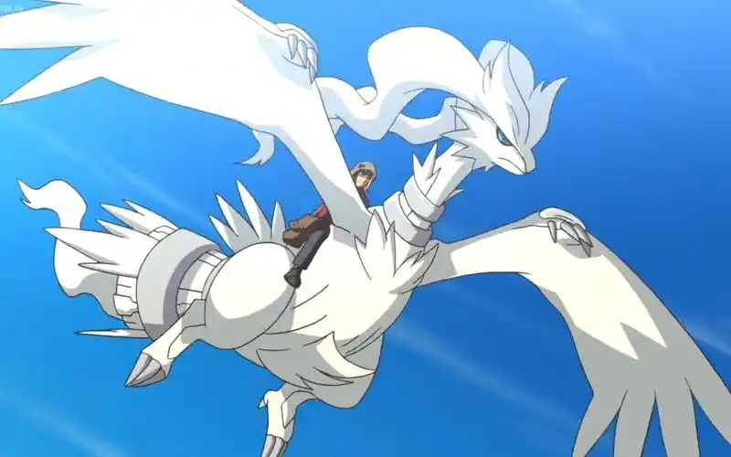 莱希拉姆重空间队【宝可梦剑盾 对战209】