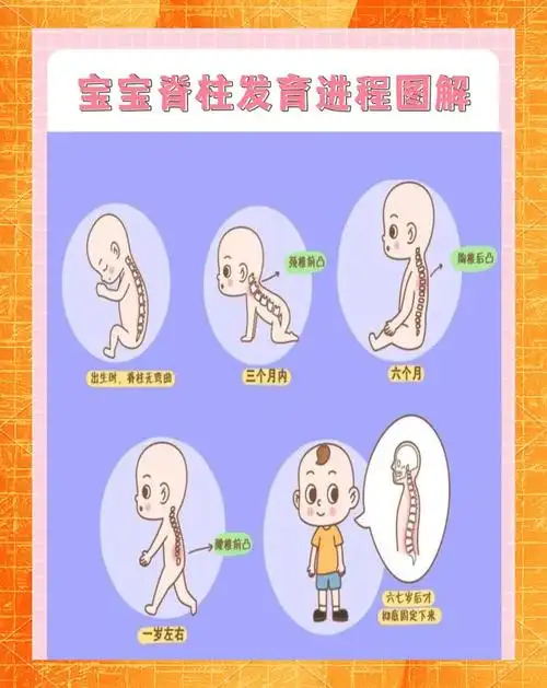 吓得我赶紧查了一下关于宝宝脊柱发育的资料,还咨询了我在儿科的朋友