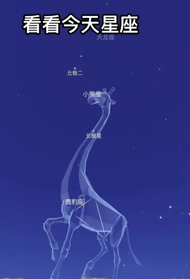 南三角座 苍蝇座 剑鱼座 蜒蜓座 波江座 时钟座 飞鱼座 网 - 抖音