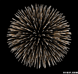烟花gif 美好gif 瞬间gif