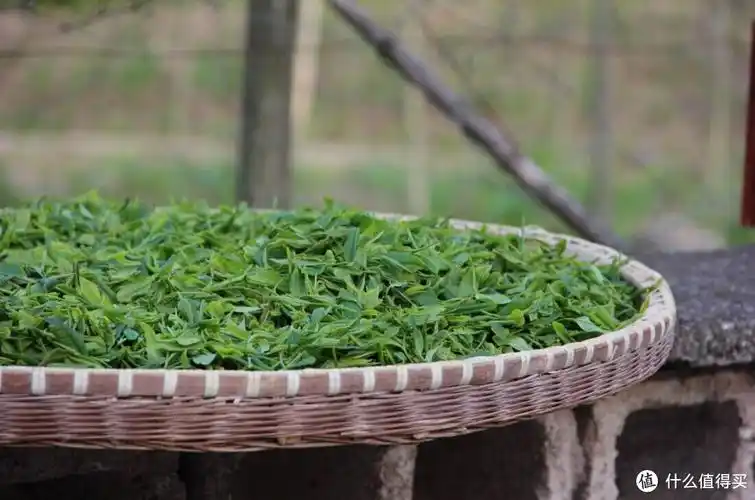 我爱我的家乡遂昌 篇一:家乡的土茶