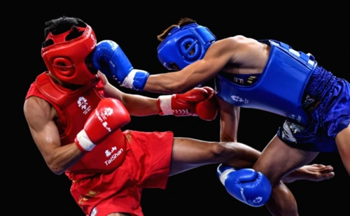 散打名帅于万岭:散打是拳击加腿,不是中国功夫?