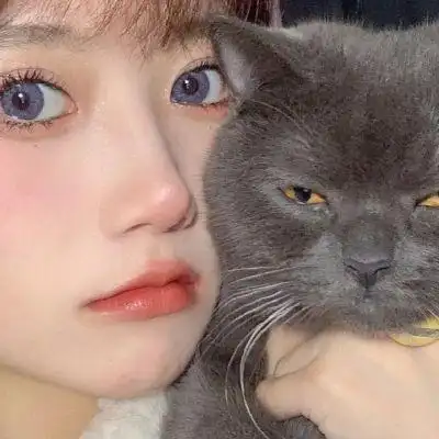 好看的女生抱猫咪头像可爱女生抱着猫咪的头像高清