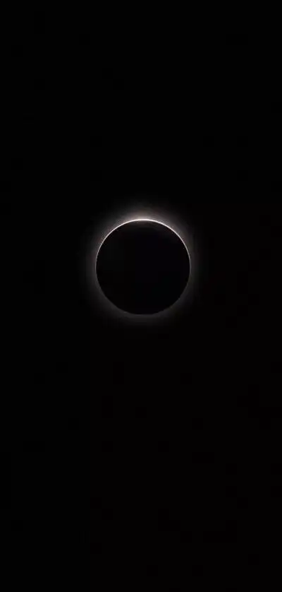 qq背景图边伯贤