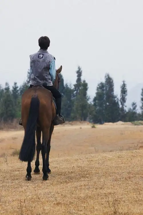 易烊千玺骑马少年感##易烊千玺骑马背影照