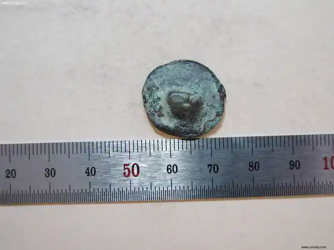 于阗国唐代骆驼图案印b