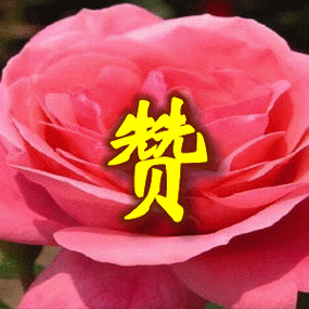 300_300gif 动态图 动图