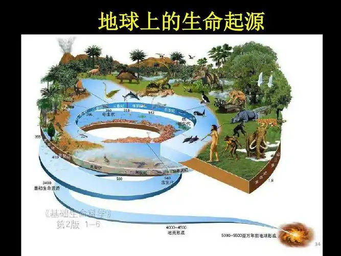 地球生物演化图示
