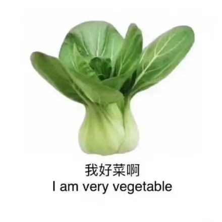 我好菜啊 i am very vagetable