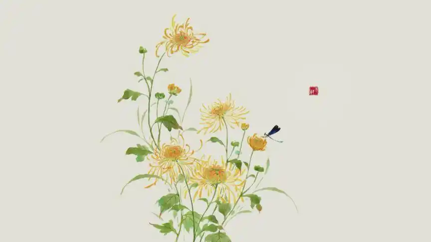 菊花丨宁可枝头抱香死,何曾吹落北风中#古风#菊花#板绘#插画