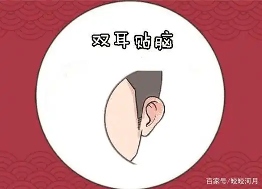 在相学当中,若是男人的双耳贴脑,从正面就看不到耳朵,则往往大多数的