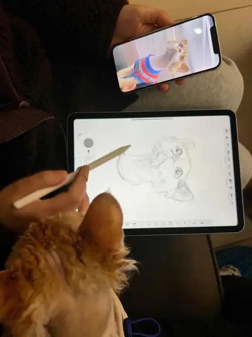 第一次用ipad画画