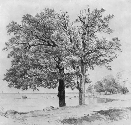 道夫·门采尔是世界著名的素描大师,是德国十九世纪成就最大的画家