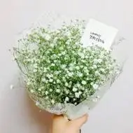 捧着满天星的女孩头像好看手捧满天星遮住脸的女生头像