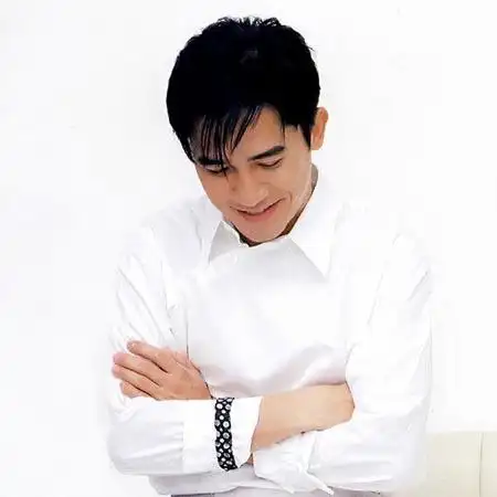 图刘嘉玲的老公照片帅气梁朝伟不怕黑四大看点