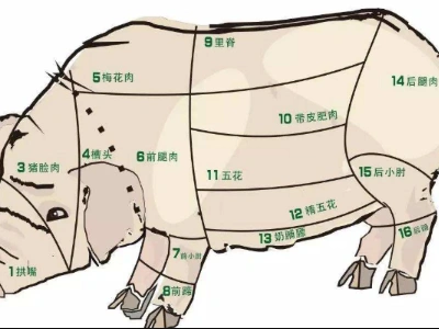 猪的前夹肉和里脊肉有什么不同