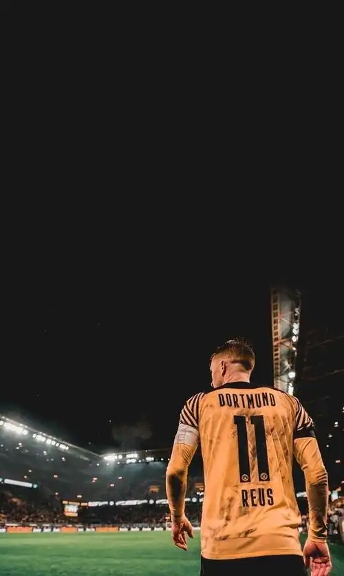 罗伊斯:请赐予我一座联赛冠军吧