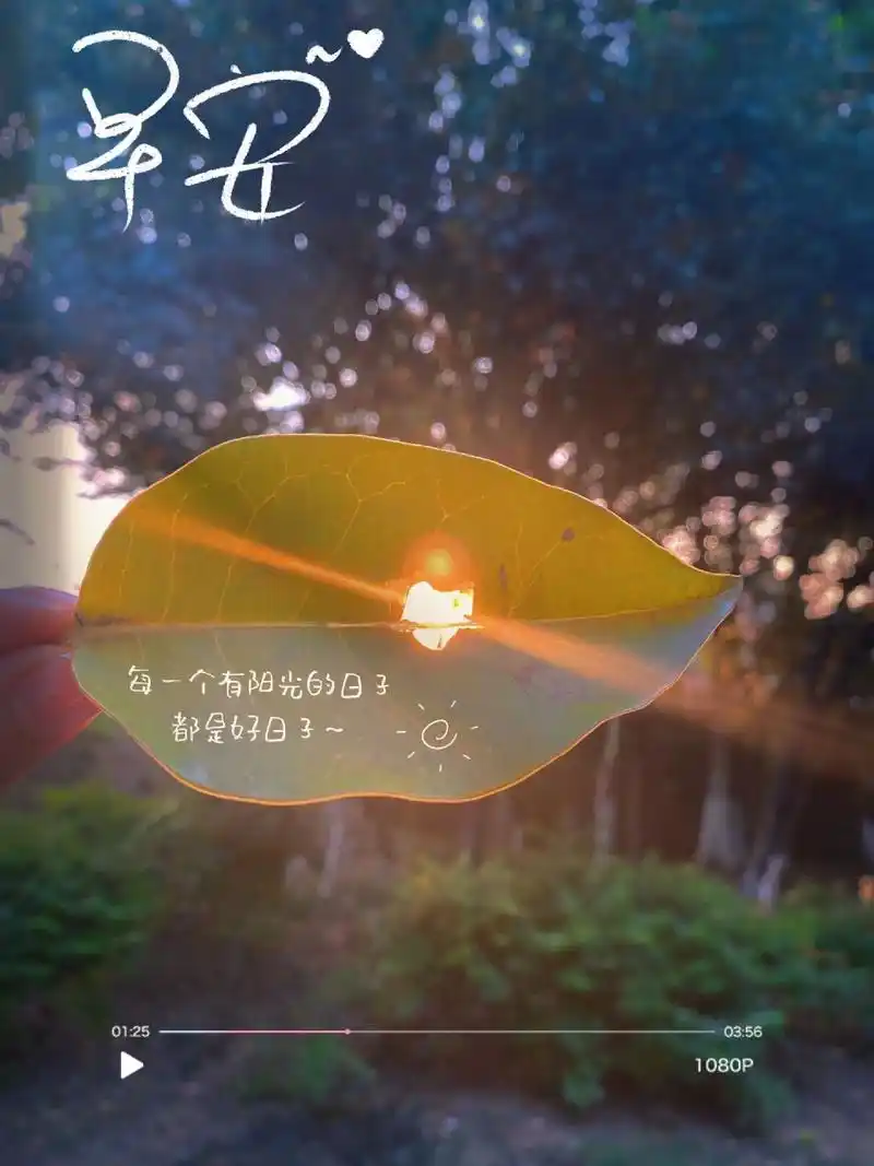 早安图片.每一个有阳光的日子都是好日子!#文案 #早安 #朋 - 抖音