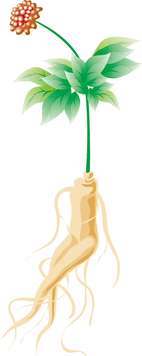 taobao.com该采集也在以下画板加载更多