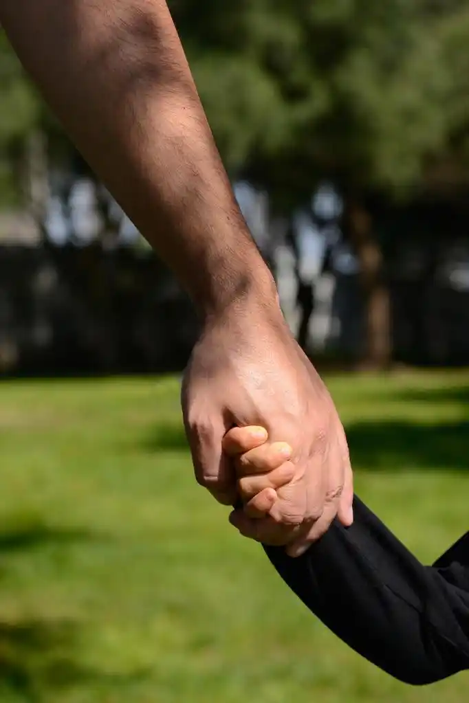 父亲和儿子,一位父亲和儿子在一个公园里牵手的特写