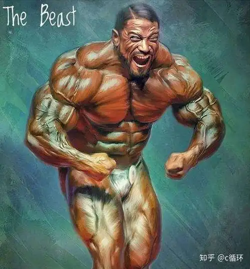 肌肉巨兽大萝莉增肌法则上