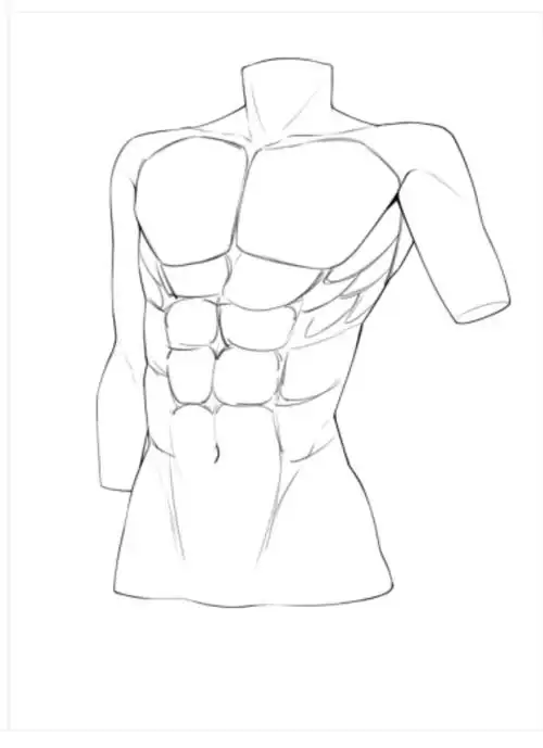 人体躯干不会画?2分钟教你从体块细化出人体肌肉!