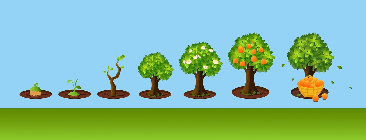 阿苗(小树苗)的成长历程|插画|创作习作|思妤sy01 - 原创作品 - 站酷