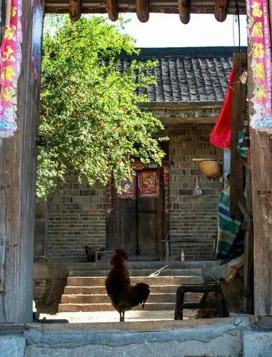 摄影札记(十八)一一看着饱含沧桑的老屋,涣起几多童年的记忆.