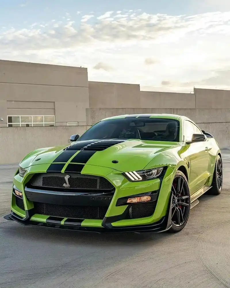 福特野马-谢尔比 眼镜蛇gt50097 ford mustang shelby gt50097