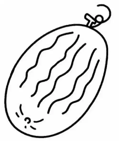 哈密瓜简笔画图片大全 哈密瓜简笔画图片大全带颜色