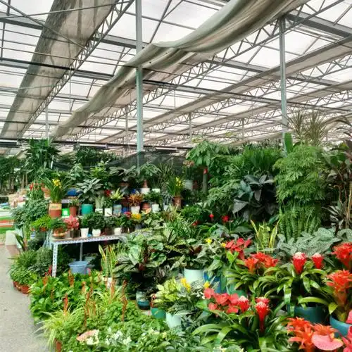 海淀区花卉市场