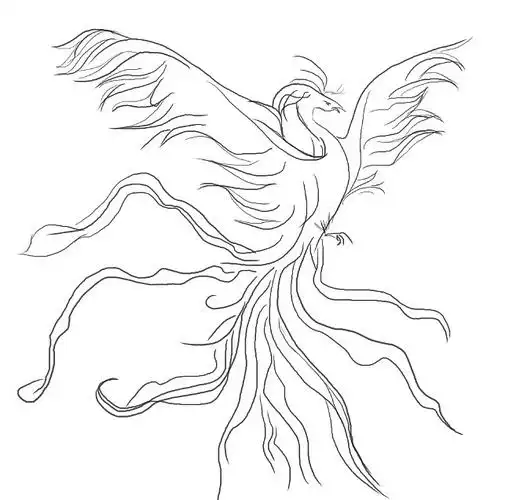 凤凰——山海经