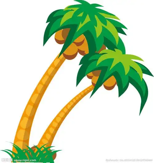 卡通椰子树图片