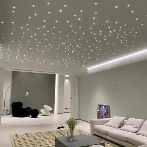 在家看星星星空顶