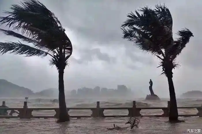 强台风"天鸽"席卷珠海,灾后重建工作在行动,珠海加油!