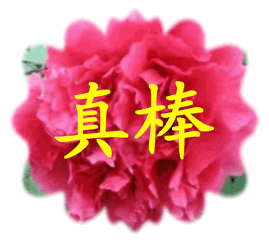 告你二项好生意,包你一月赚个七八千摆地摊货源.